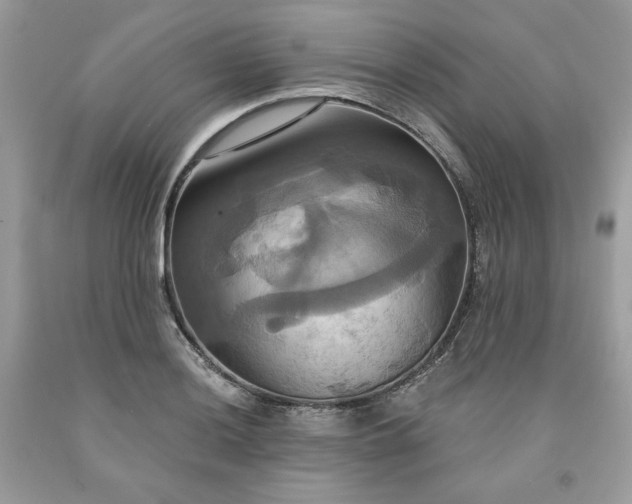 X0000091641036200709060933