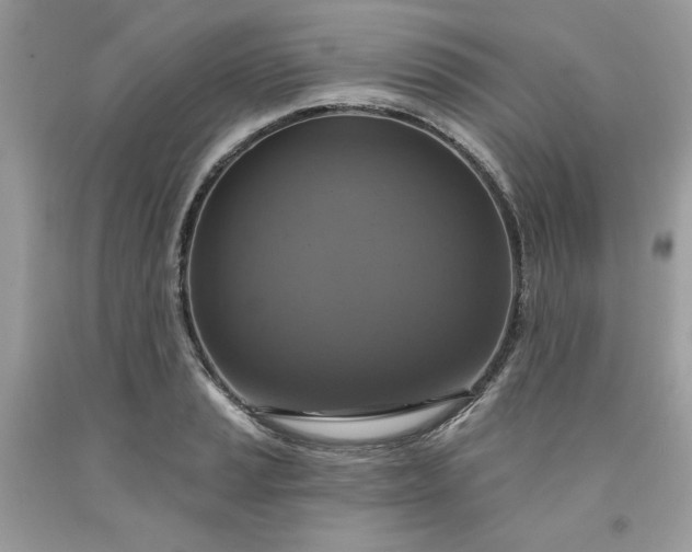 X0000091641037200709060933