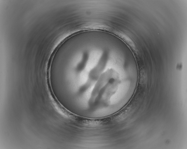 X0000091641039200709060933