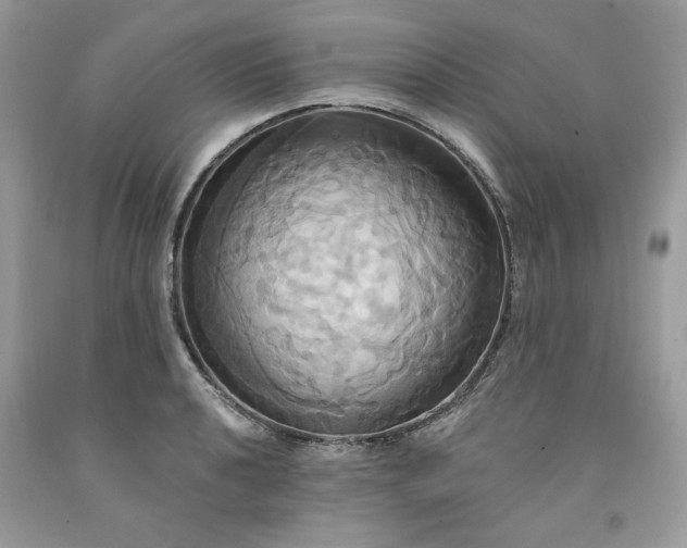 X0000091641040200709060933