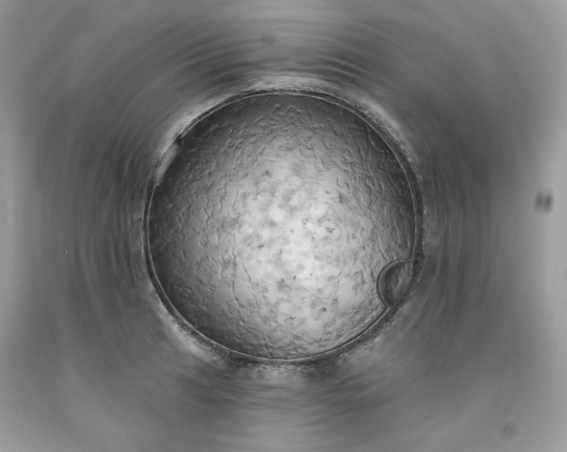 X0000091641041200709060933
