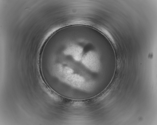 X0000091641043200709060933