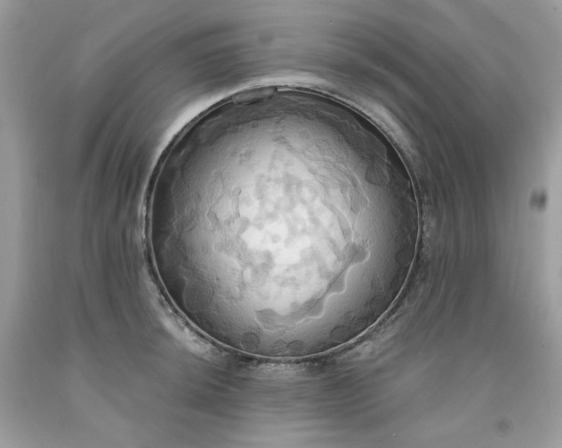 X0000091641044200709060933