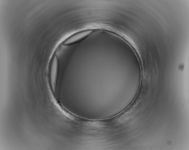 X0000091641045200709060933