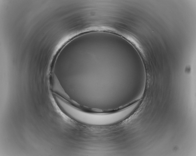 X0000091641046200709060933