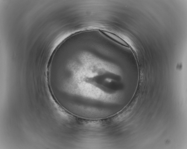 X0000091641047200709060933