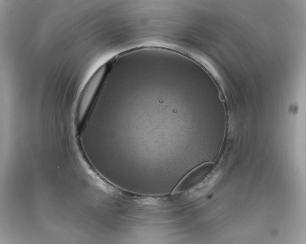 X0000091641048200709060933