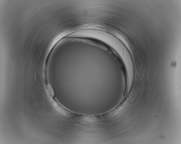 X0000091641050200709060933