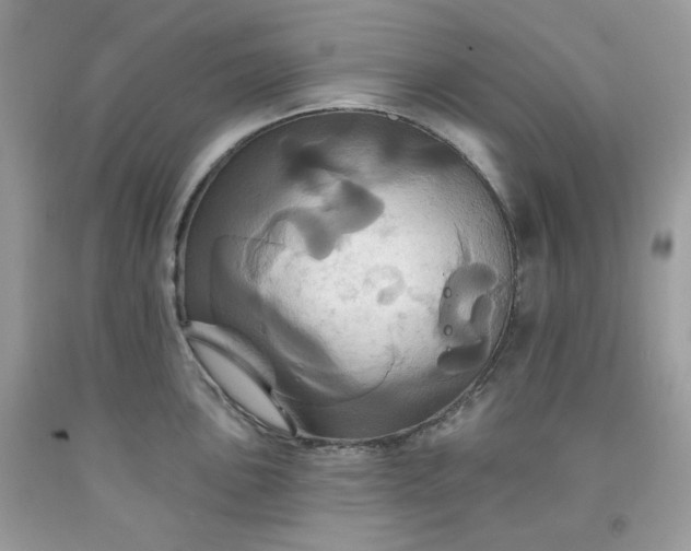 X0000091641051200709060933