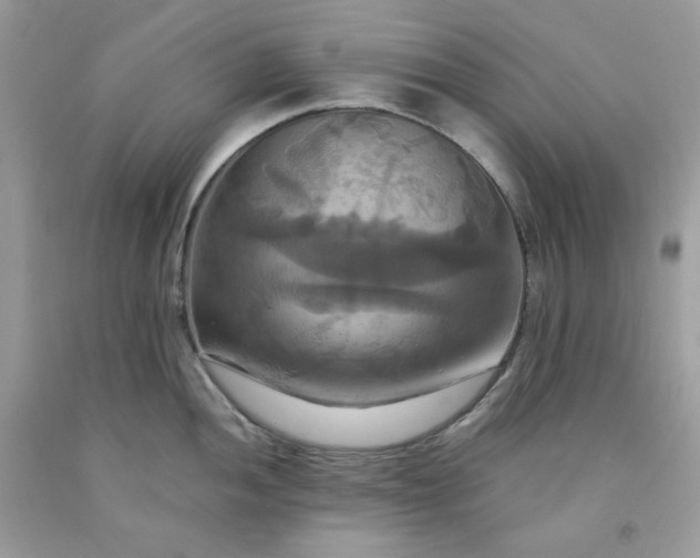 X0000091641052200709060933