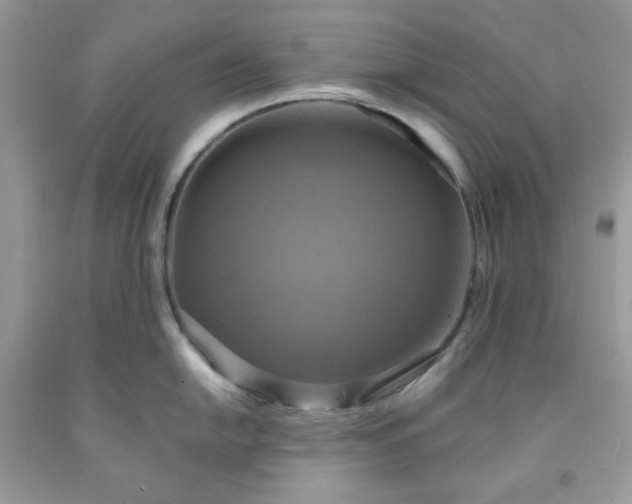 X0000091641054200709060933