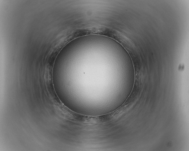 X0000091641058200709060933