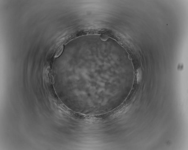 X0000091641059200709060933