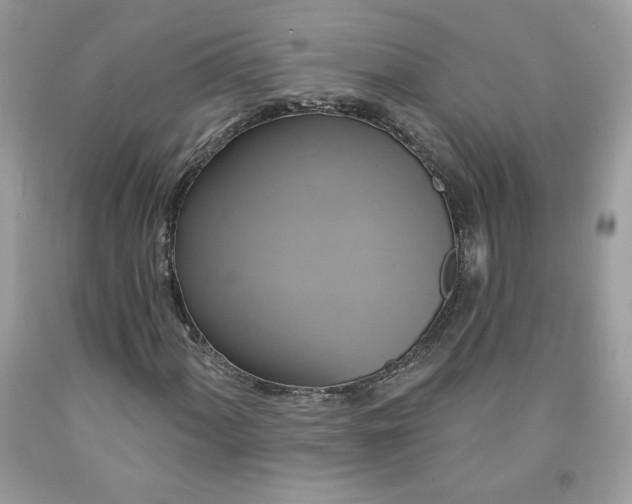 X0000091641060200709060933