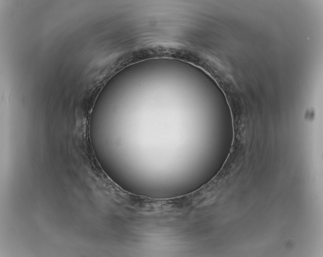 X0000091641061200709060933