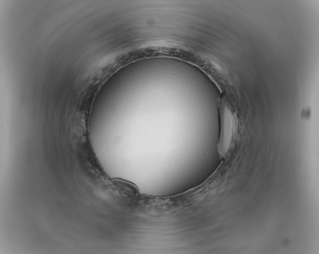 X0000091641062200709060933