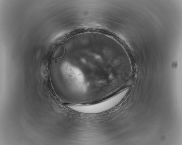 X0000091641063200709060933