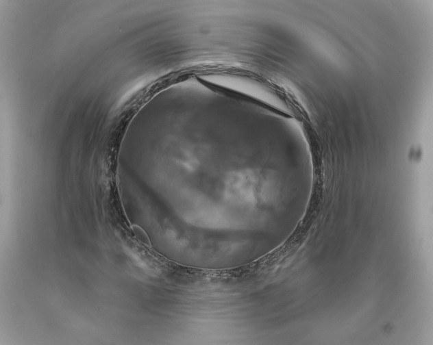X0000091641064200709060933