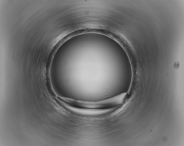 X0000091641065200709060933