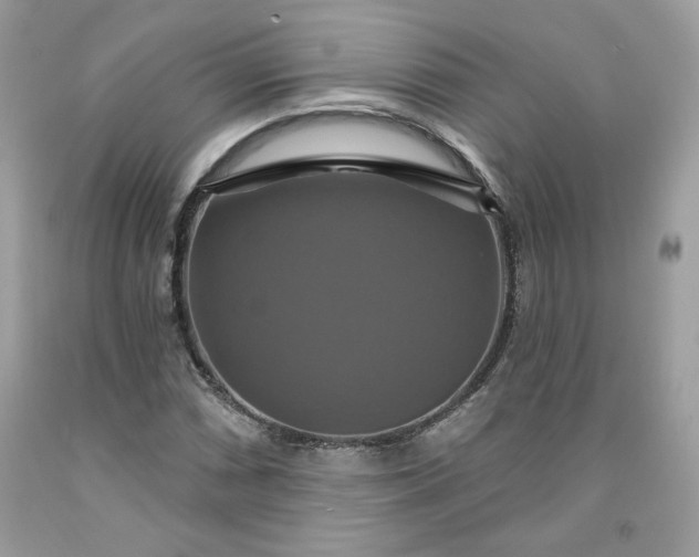X0000091641066200709060933