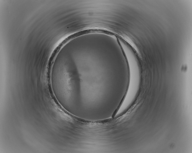 X0000091641068200709060933