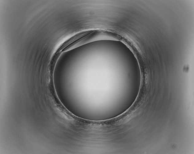 X0000091641069200709060933
