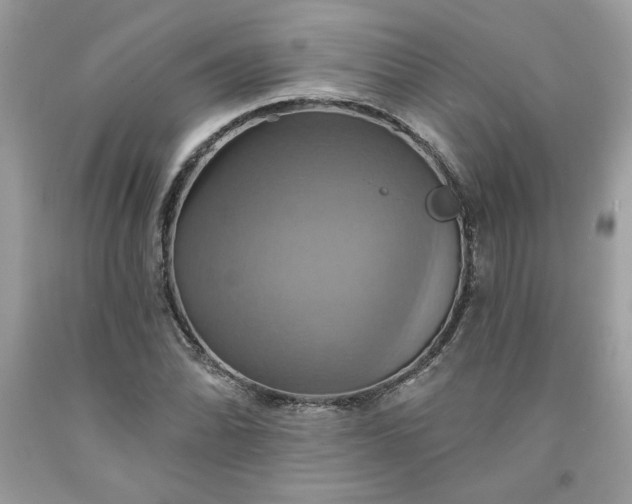 X0000091641070200709060933