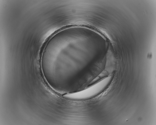 X0000091641071200709060933