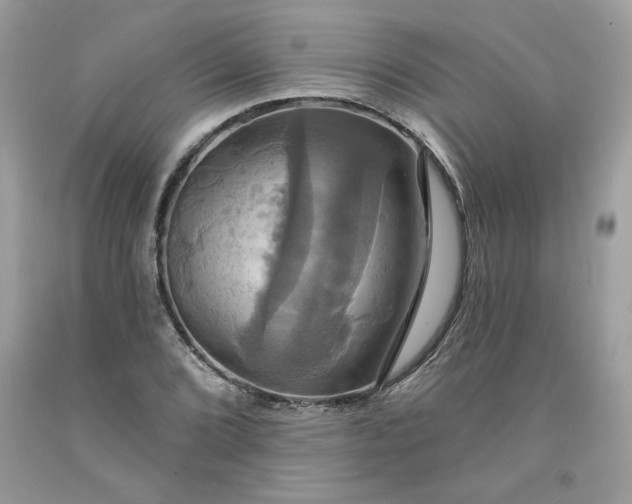 X0000091641072200709060933