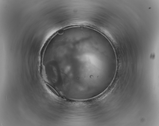 X0000091641079200709060932