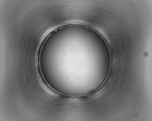 X0000091641082200709060932