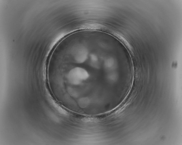 X0000091641083200709060932