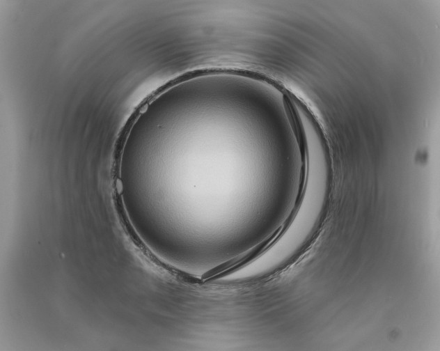 X0000091641085200709060932