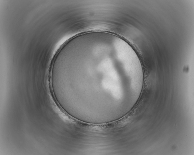 X0000091641086200709060932