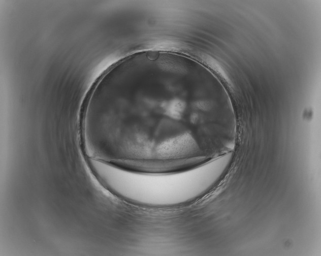 X0000091641087200709060932