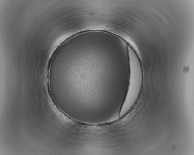 X0000091641088200709060932