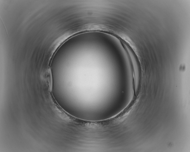 X0000091641089200709060932