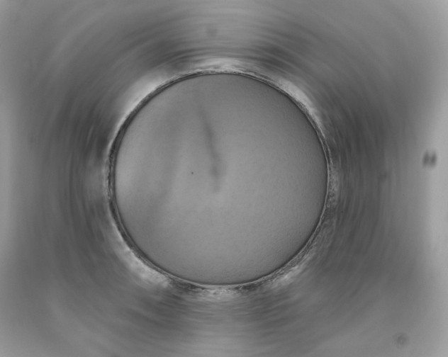 X0000091641090200709060932
