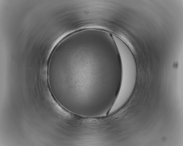 X0000091641092200709060932