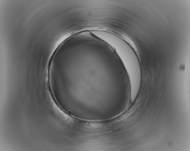 X0000091641095200709060932