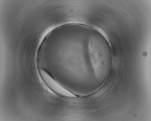 X0000091641096200709060932