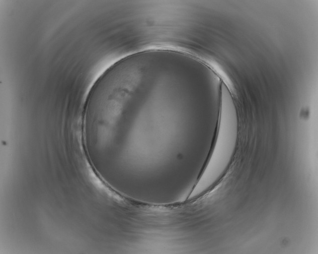 X0000091641100200709060932