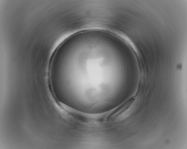 X0000091641101200709060932