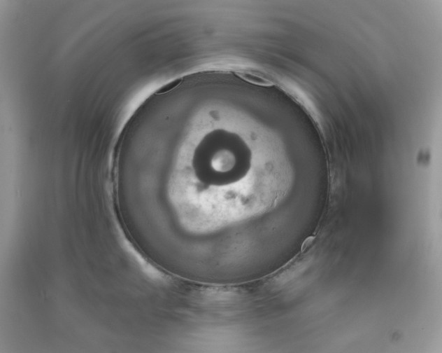 X0000091641103200709060932