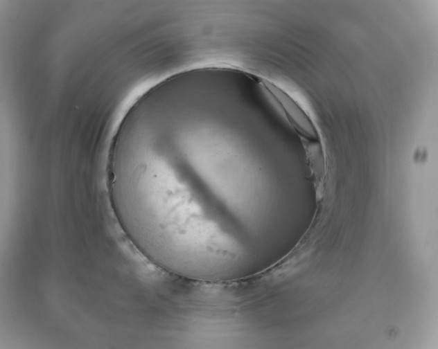 X0000091641104200709060932