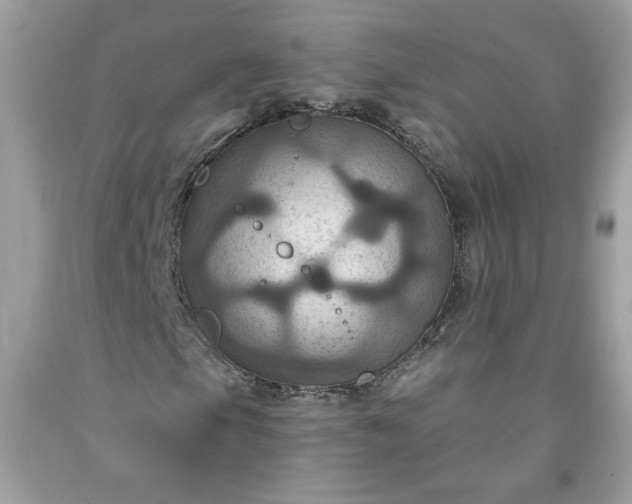X0000091641105200709060931