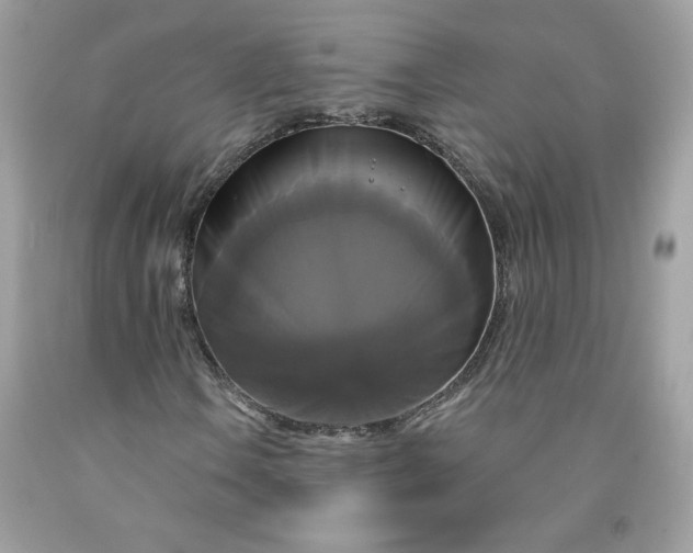 X0000091641106200709060931