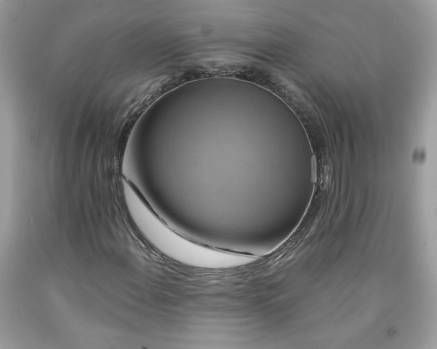 X0000091641108200709060931