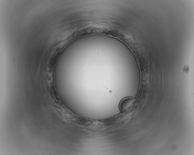 X0000091641109200709060931