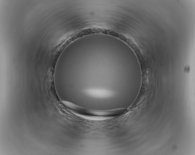 X0000091641110200709060931